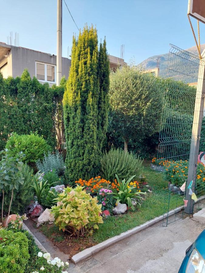 Green Oasis Appartement Kotor Buitenkant foto