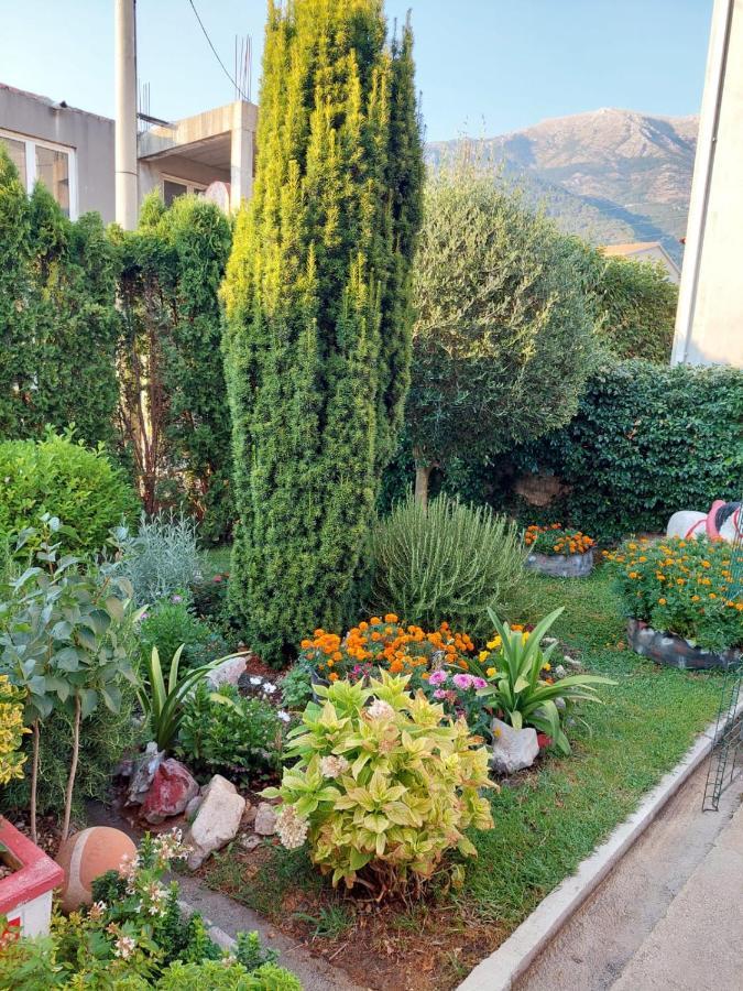Green Oasis Appartement Kotor Buitenkant foto