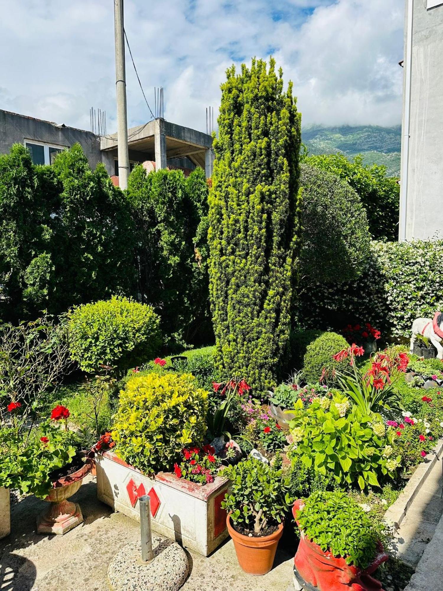 Green Oasis Appartement Kotor Buitenkant foto